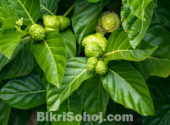 ননী ফল ১ কেজি